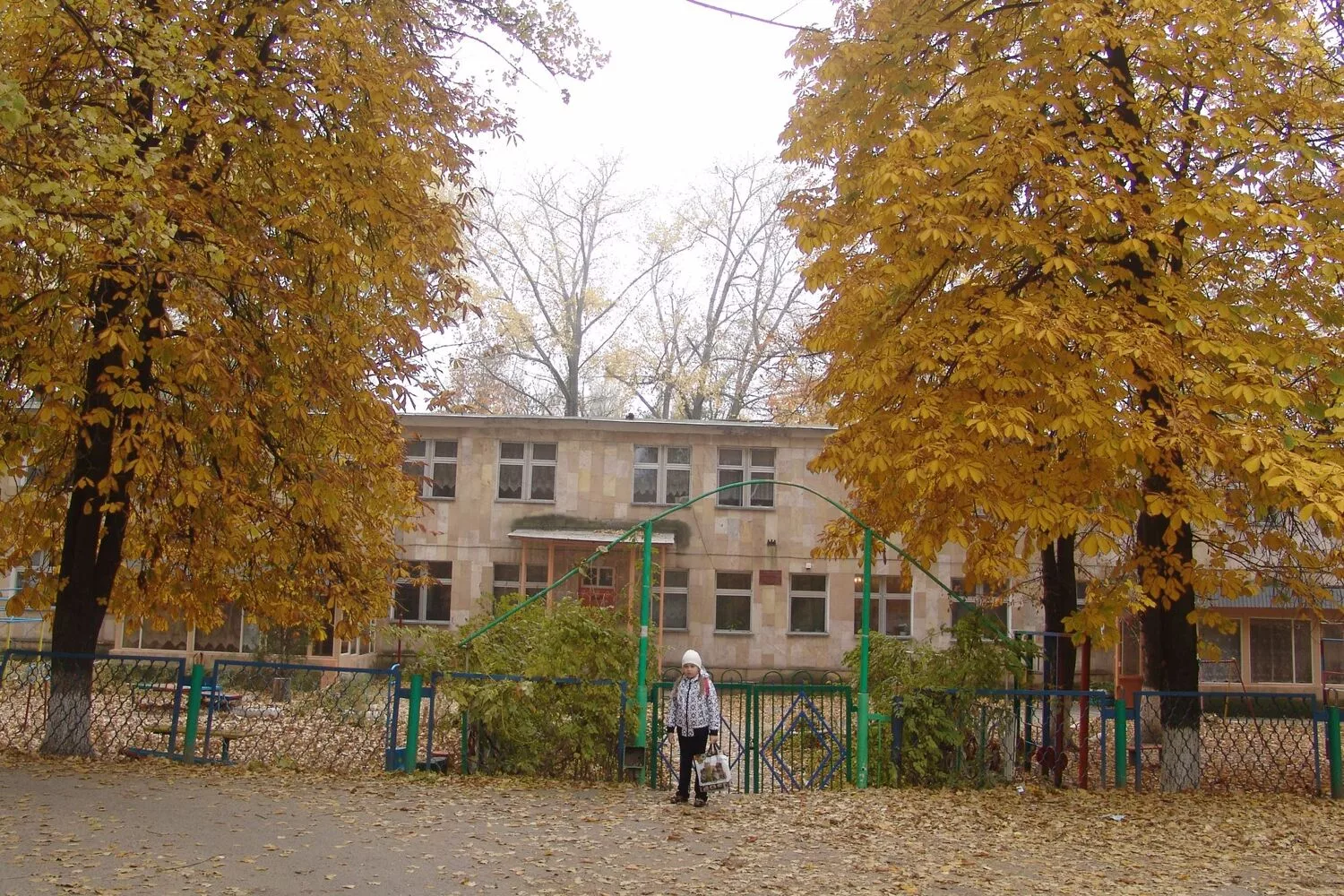 фото сада